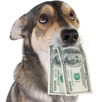 Per 1 mei 2026 zal er een wijziging in de prijzen plaatsvinden voor alle behandelingen!